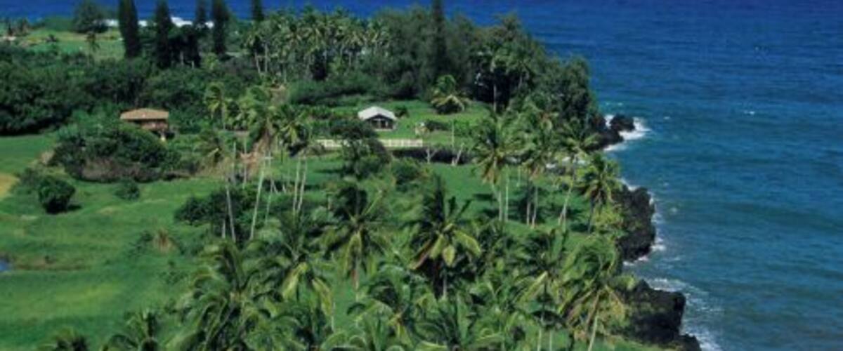 A coastal landscape with a river, dense palm trees, and a view of the ocean.