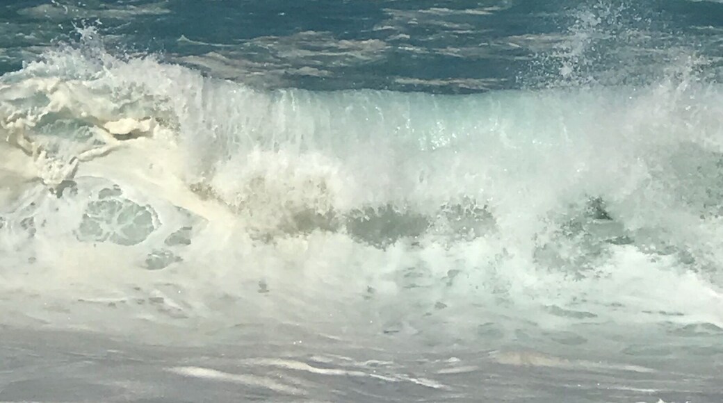 And the waves weren’t that big.