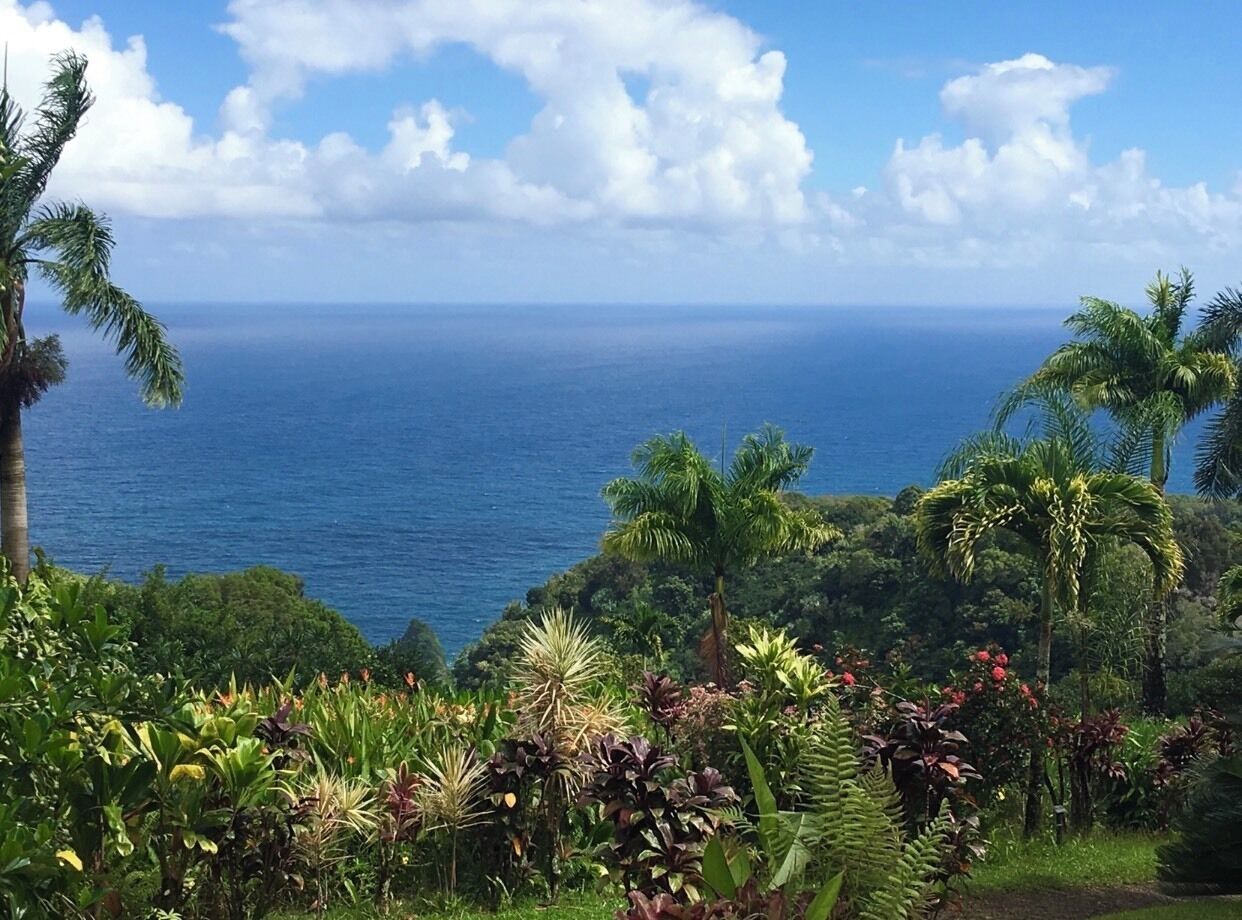 One of the many stunning views of Maui