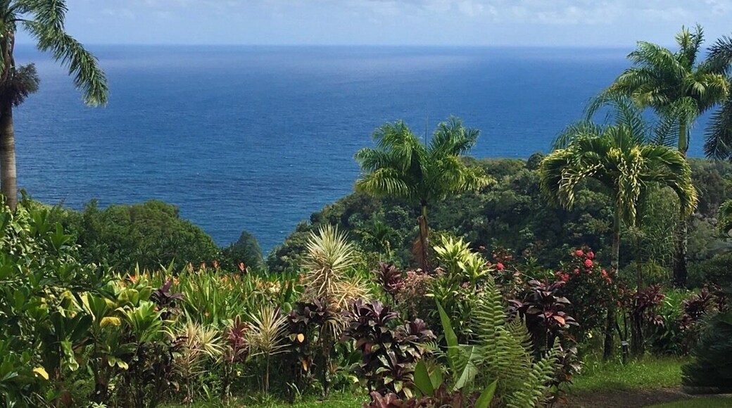 One of the many stunning views of Maui