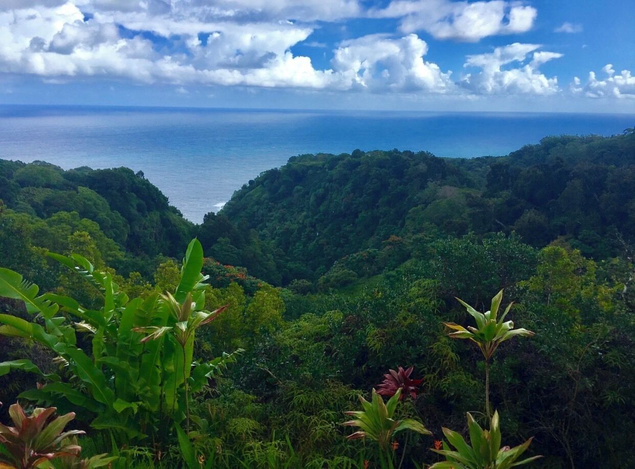 One of the many stunning views of Maui