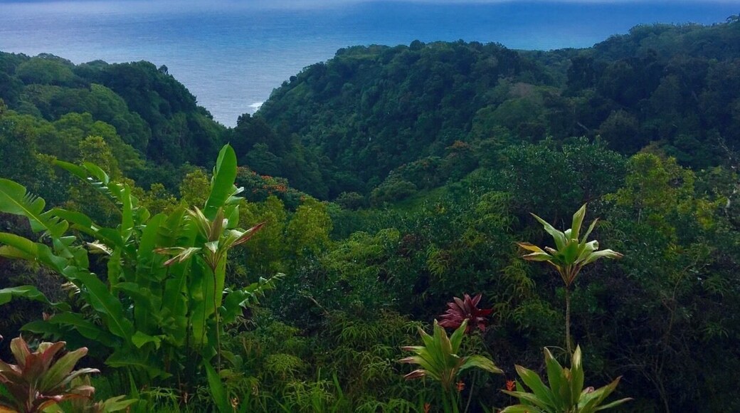 One of the many stunning views of Maui