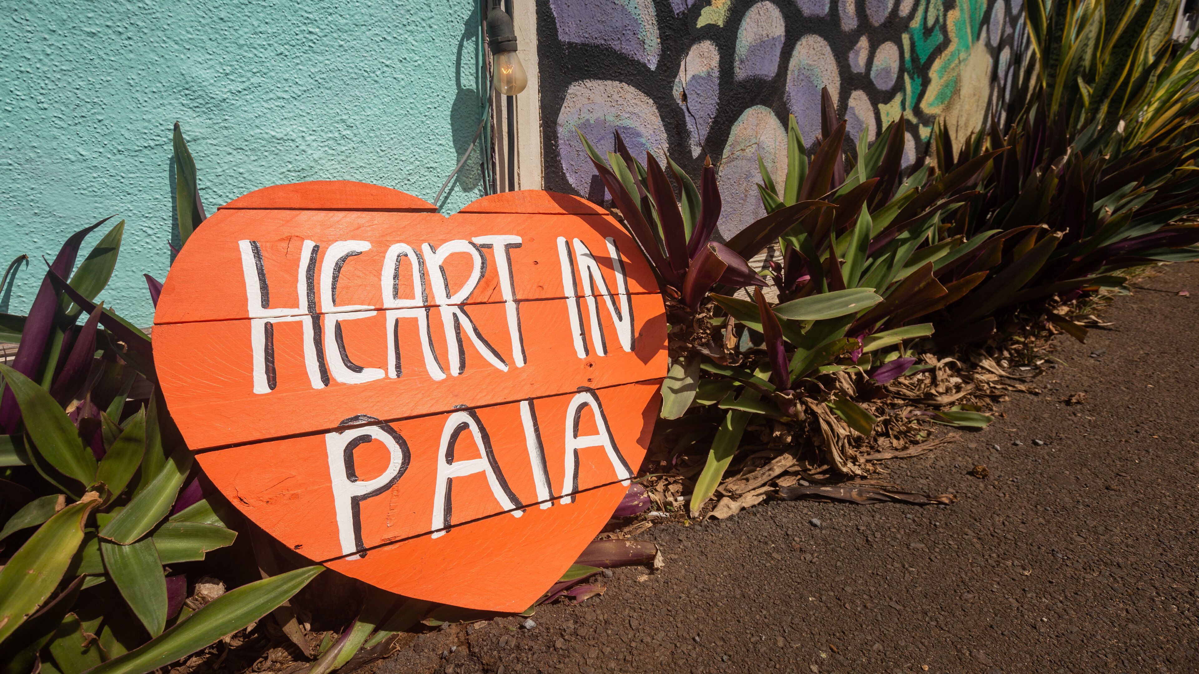 Paia featuring signage