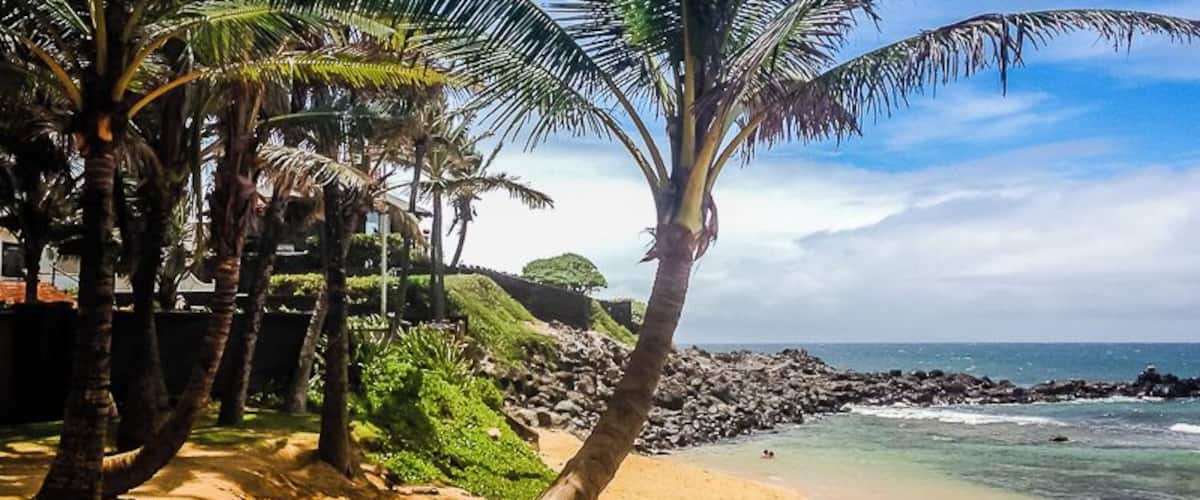 Una playa arenosa con palmeras y una costa rocosa.