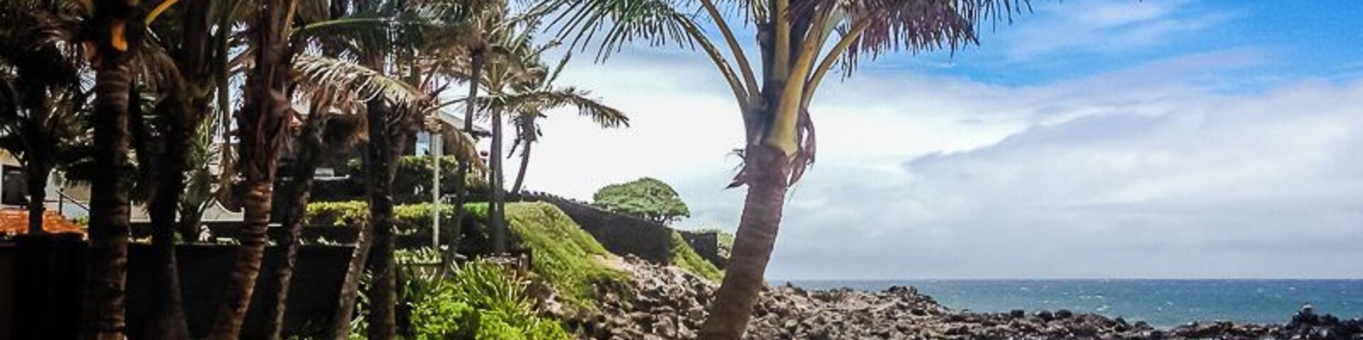 Una playa arenosa con palmeras y una costa rocosa.