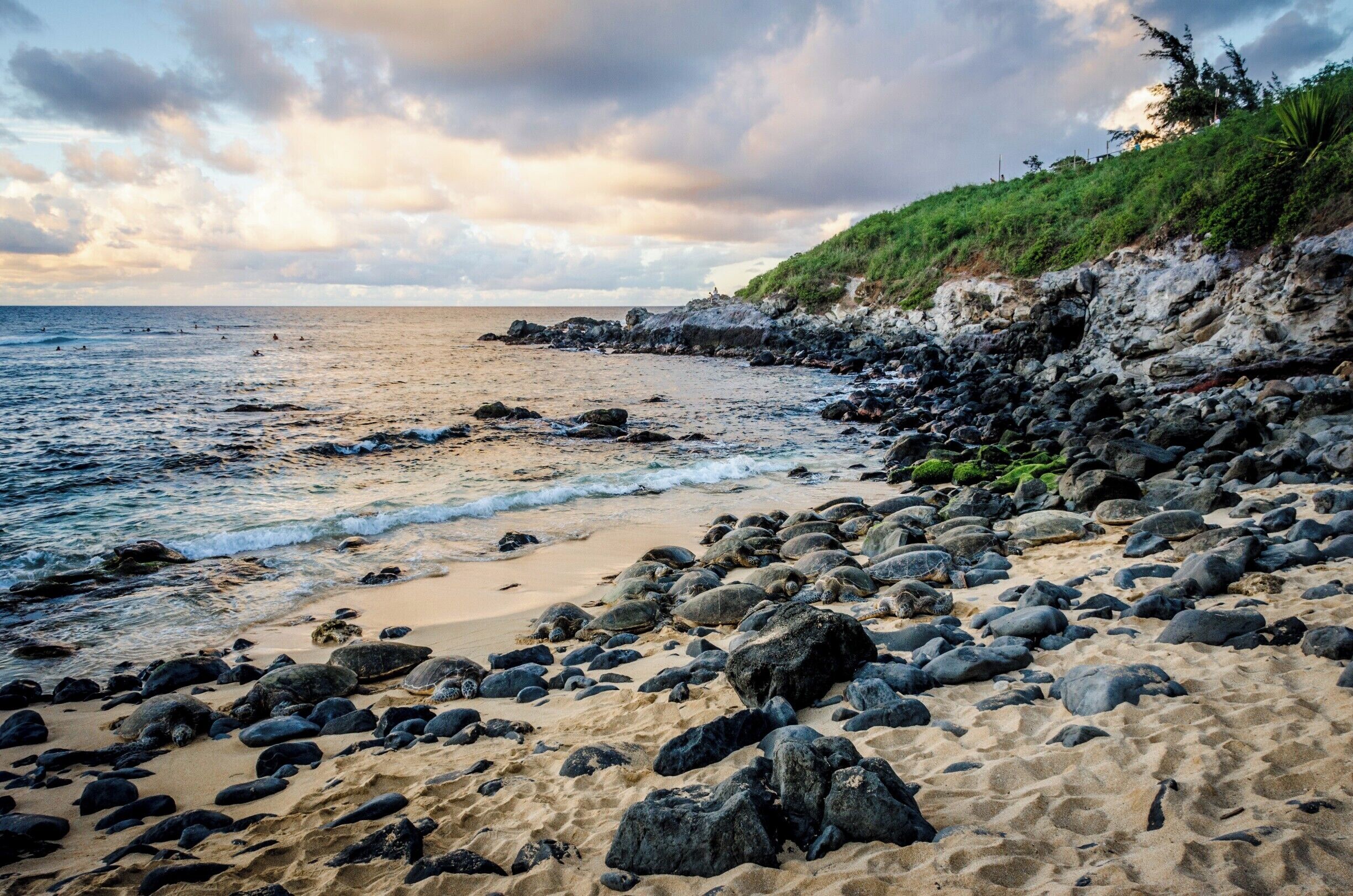 A rocky beach with waves, a grassy cliff, and a cloudy sky.