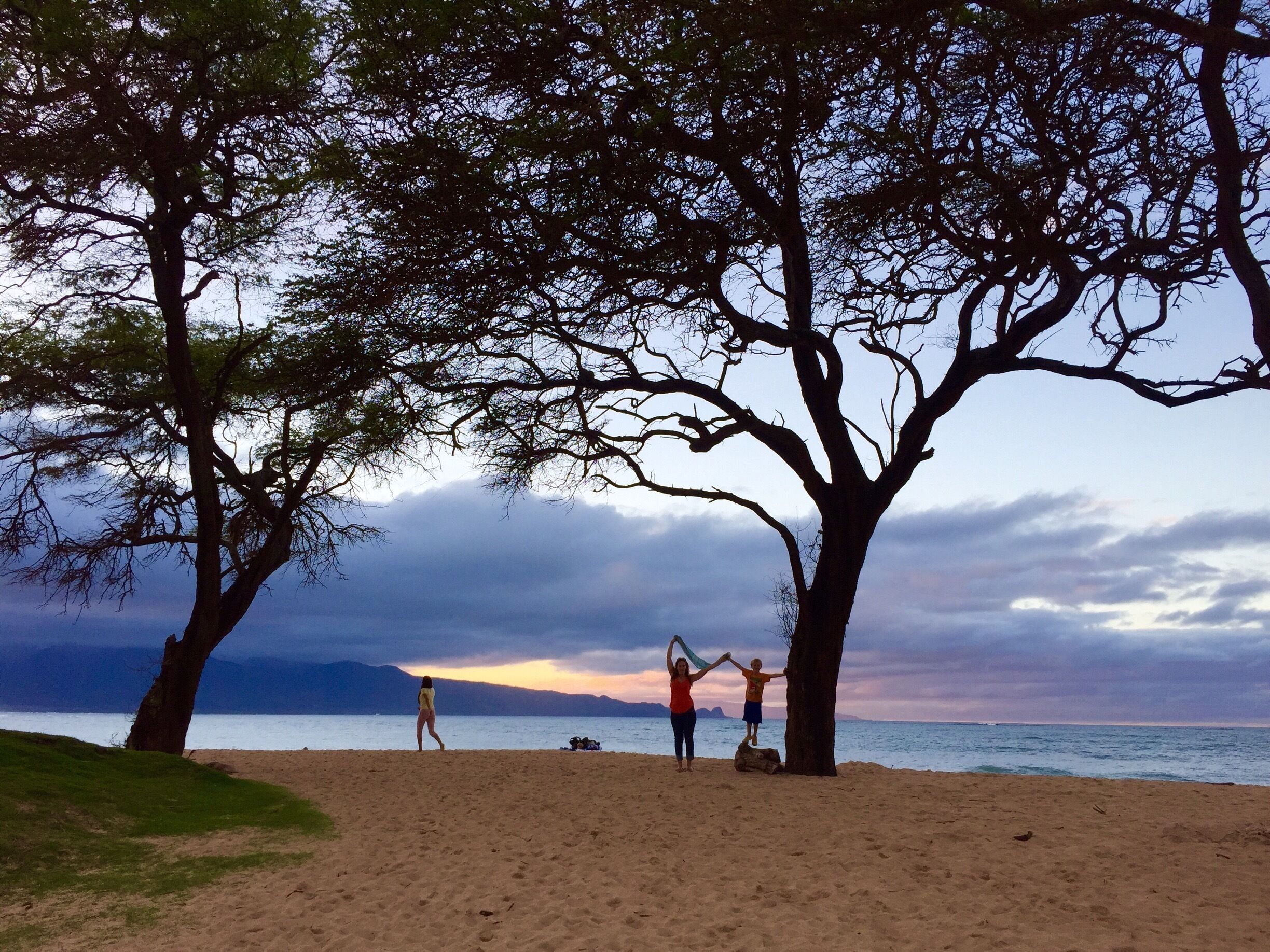Lovely contrast of the trees and sky 
#BeachBond