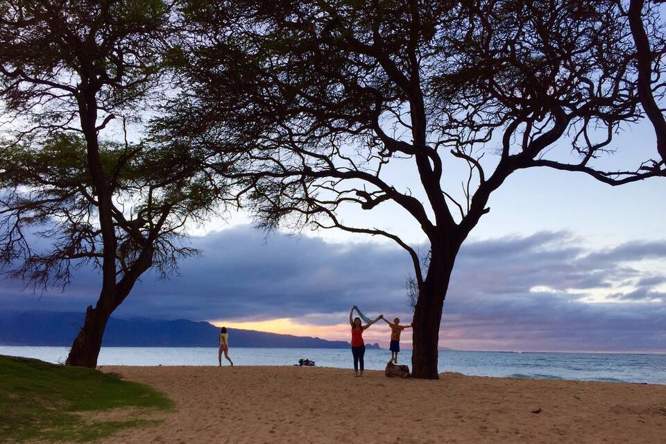 Ein Strand mit zwei großen Bäumen, blauem Himmel und ruhiger See.