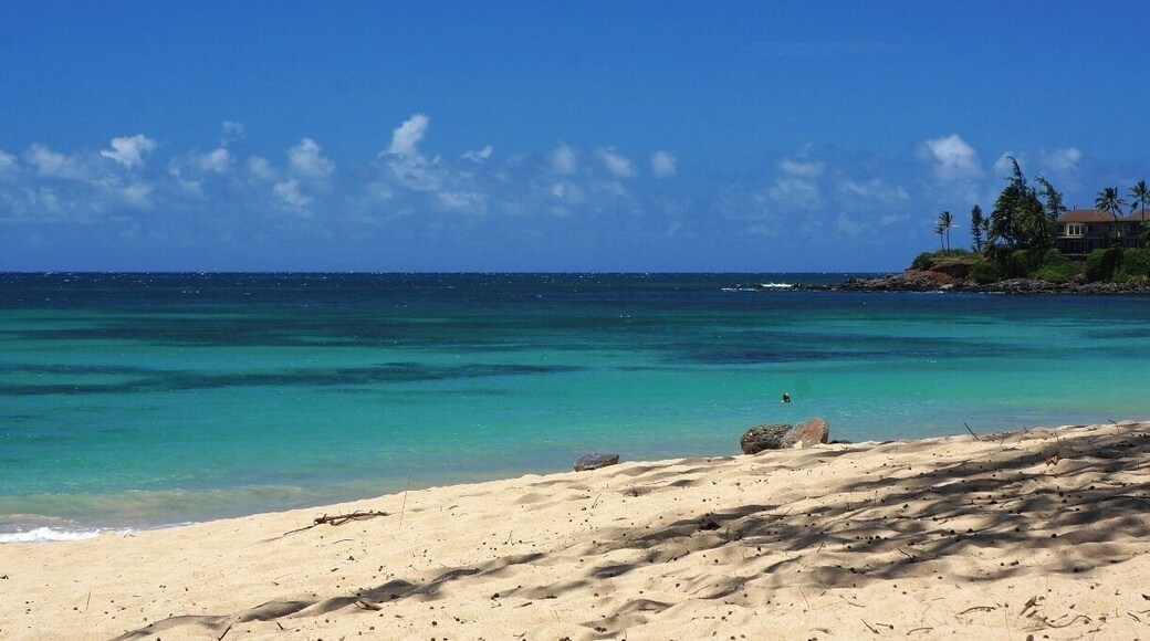 Paia Bay beach is just amazing and most of the time as crowded as in this photo. Seriously, I don't know why more people don't come here. I'm probably going to hate myself for posting this :) It's one of our favourite beaches on Maui. #beach #Hawaii #Paia #Maui #UnitedStates #USA #blue #AquaTrove