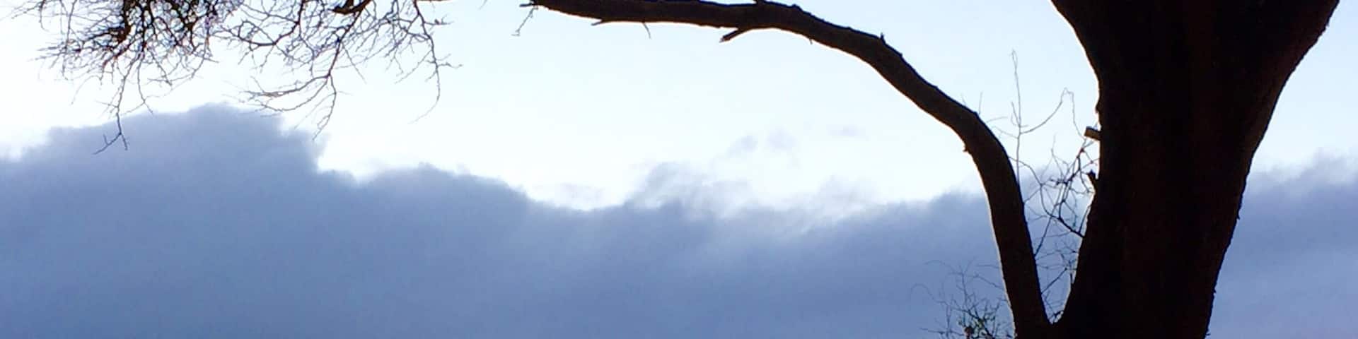 Watching the sun go down on Paia Beach
#BeachBond