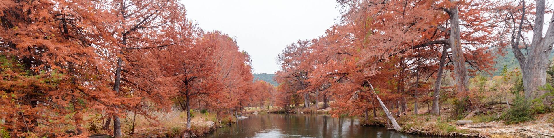 autumn landscape with river and trees