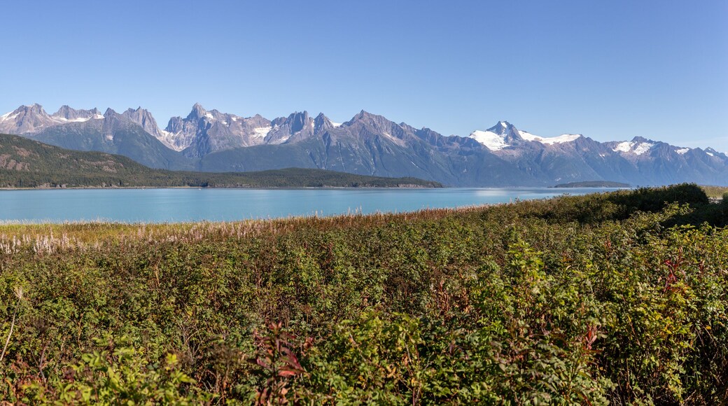 Gorgeous view of the Chilkoot inlet sailing from Skagway, Alaska.