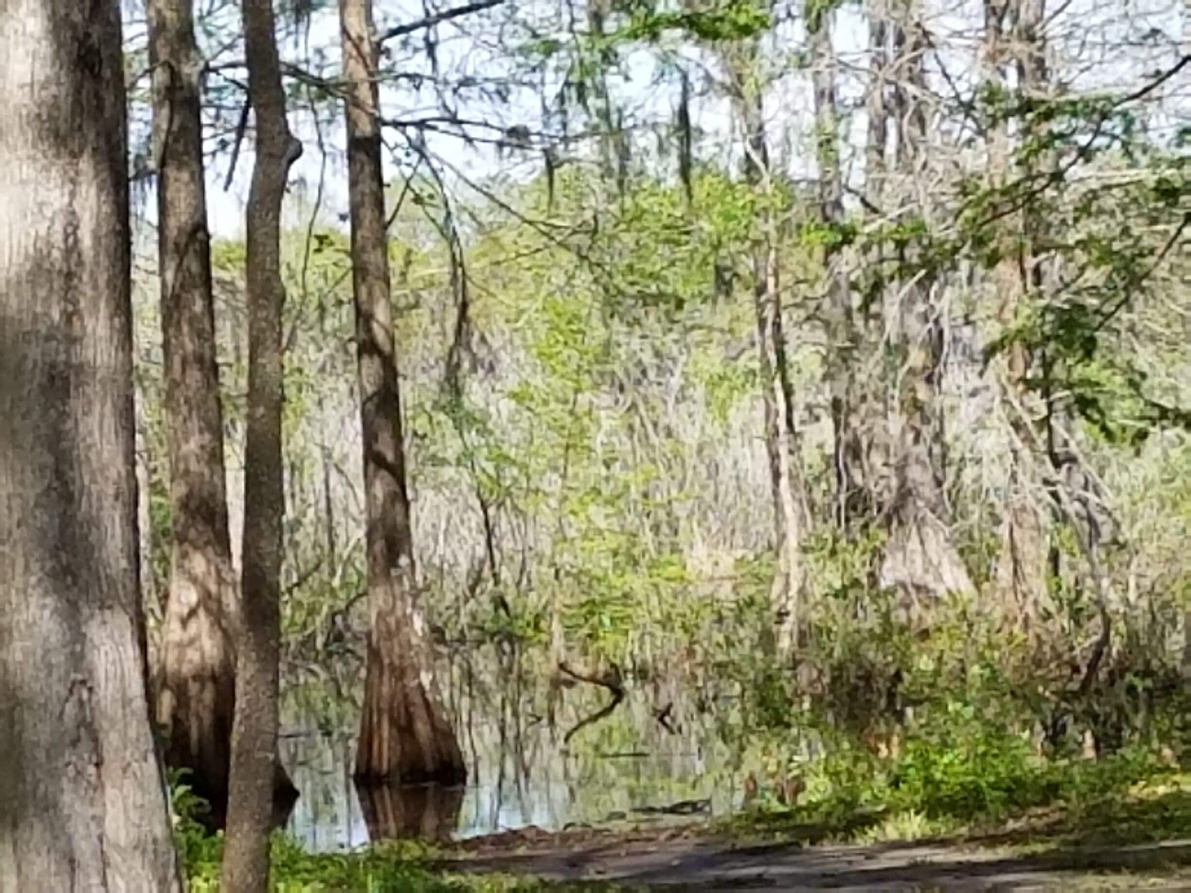 Doin' some backwoods fishing.