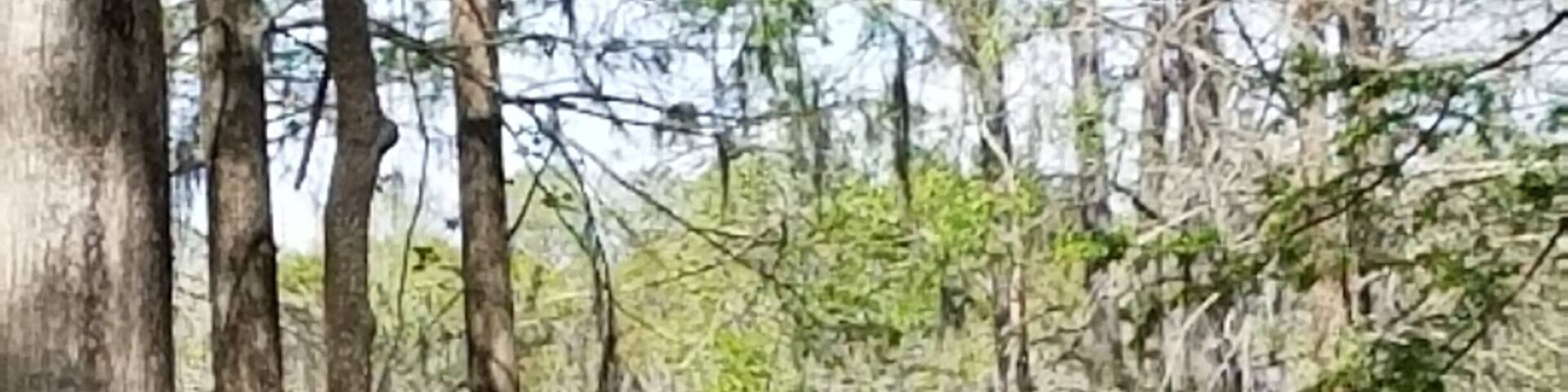 Doin' some backwoods fishing.