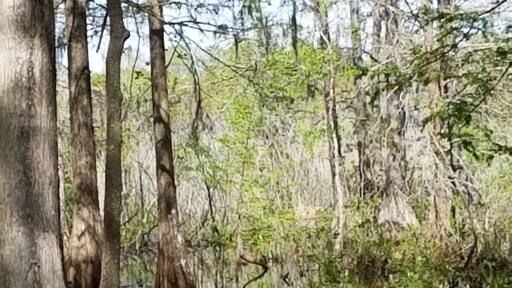 Doin' some backwoods fishing.