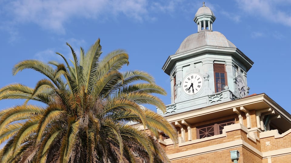 A building with a clock tower and a palm tree.