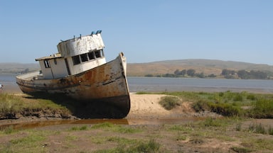 Beached fishing boat, Inverness, California