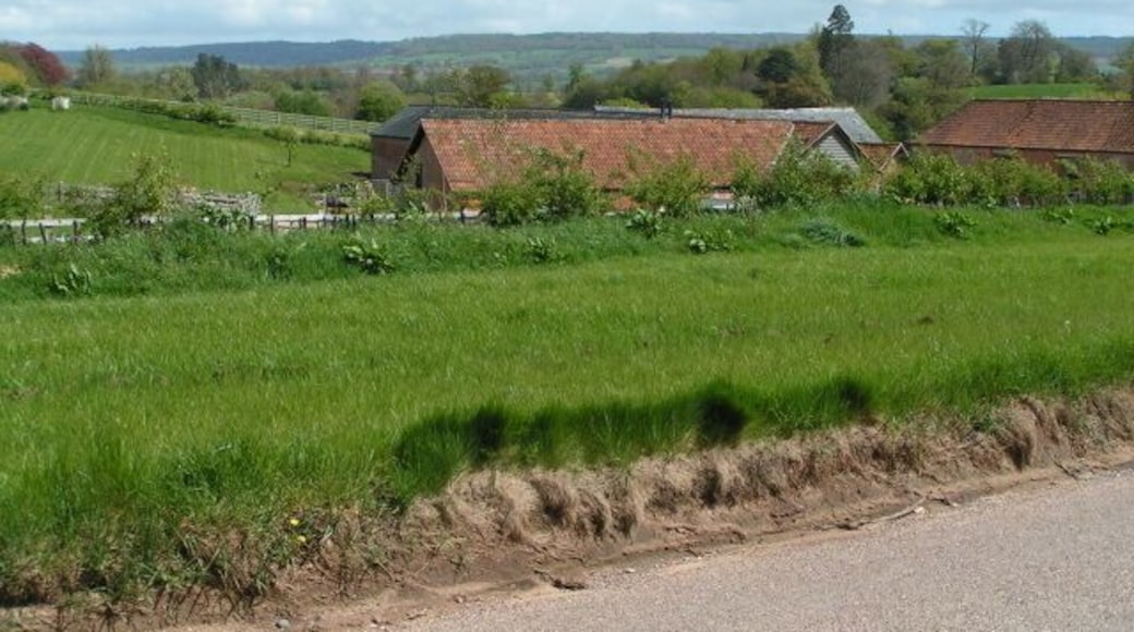 Talaton Farm and fields