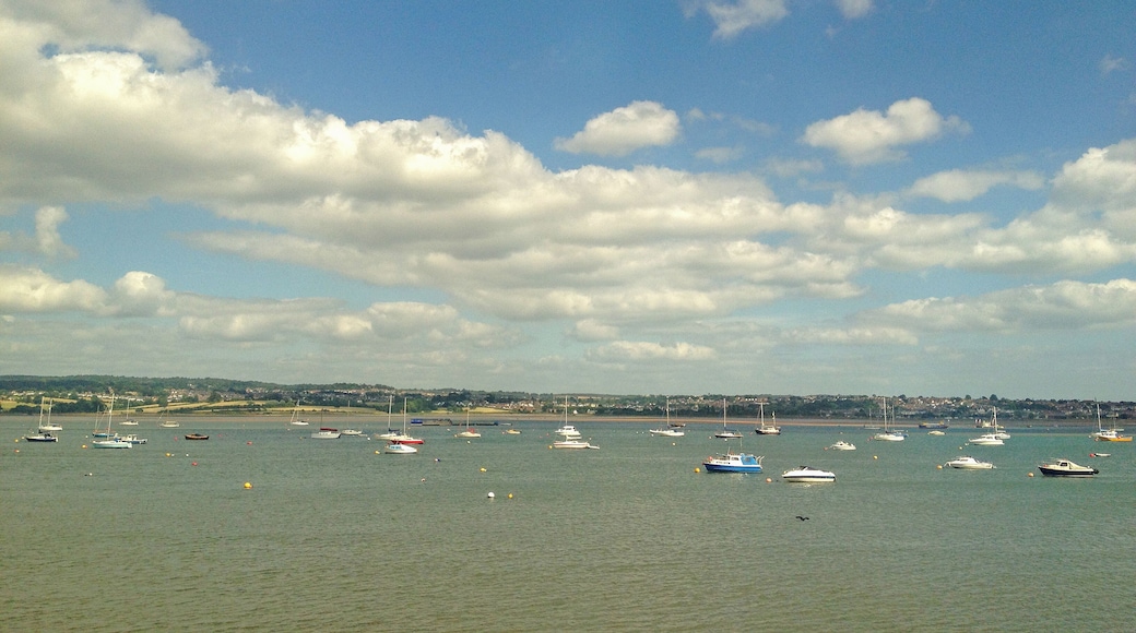 through the train window with a smartphone