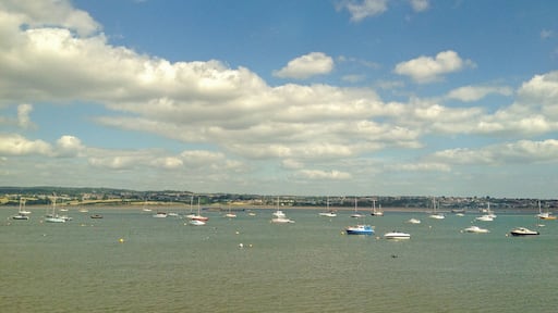 through the train window with a smartphone