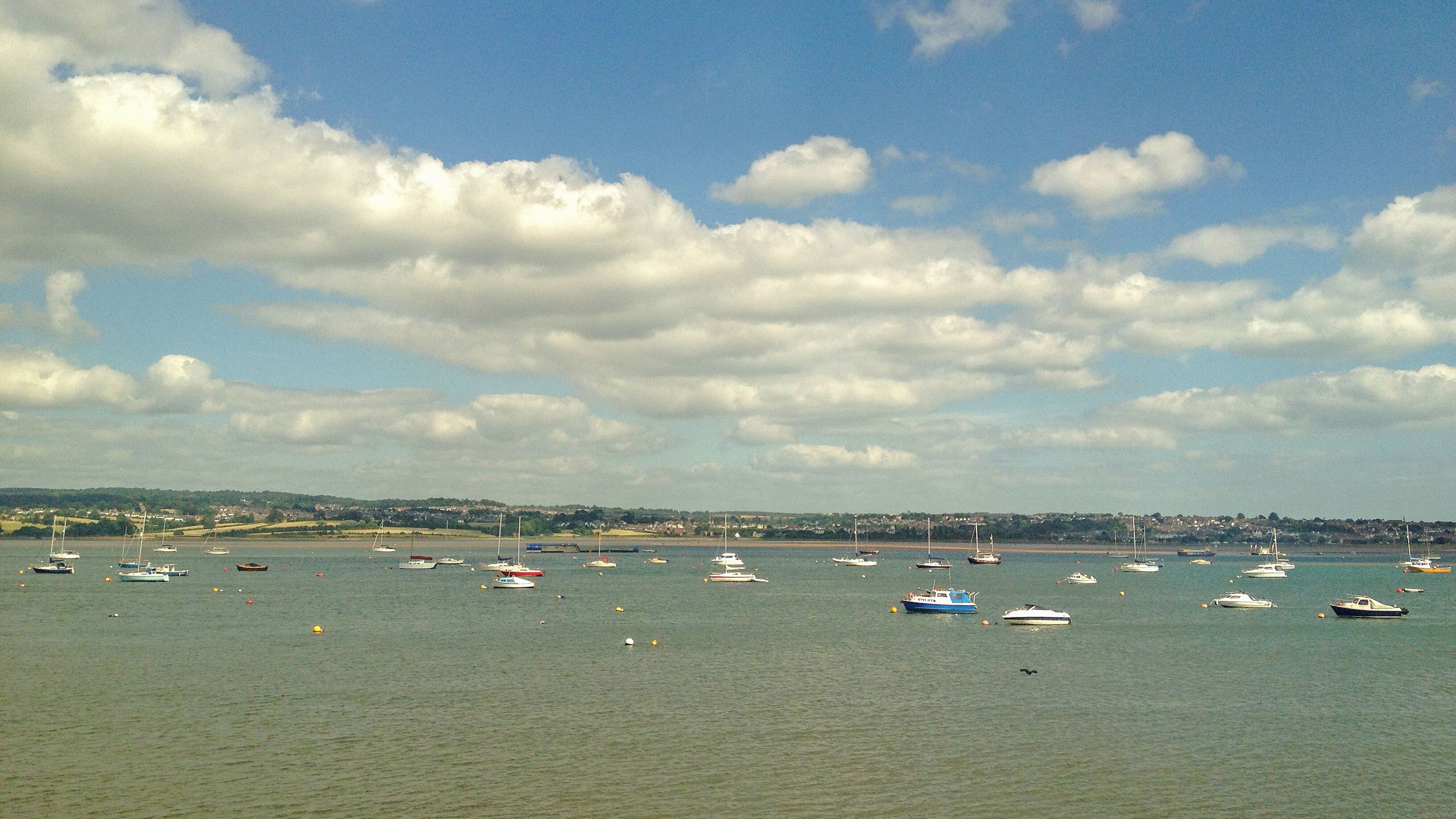 A harbor with numerous boats and a distant shoreline with houses.