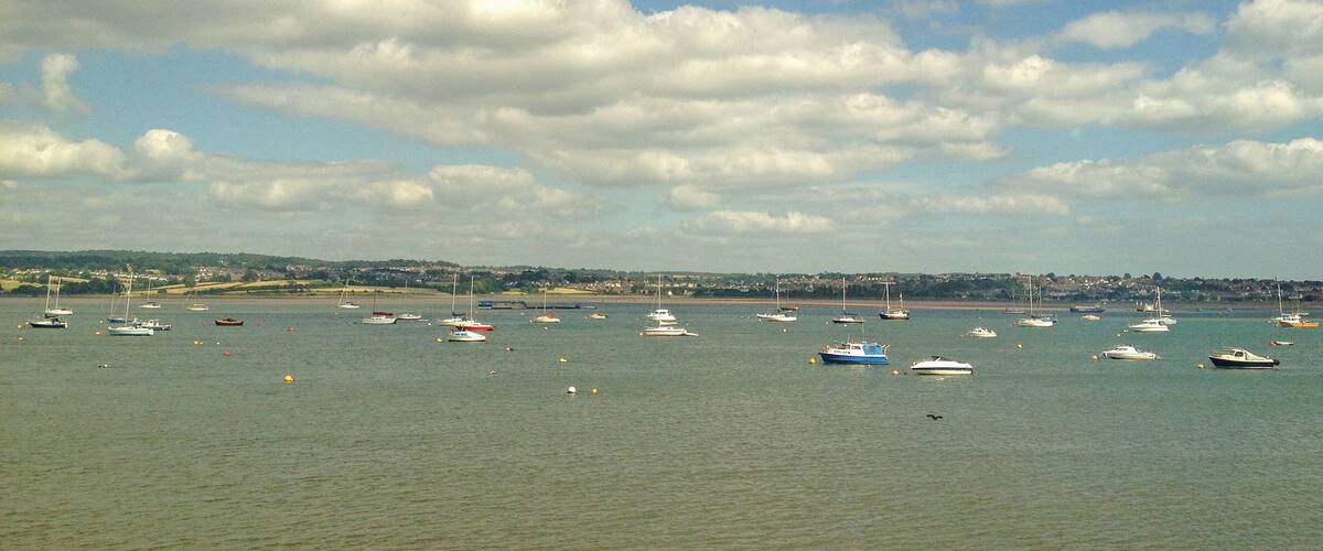 A harbor with numerous boats and a distant shoreline with houses.