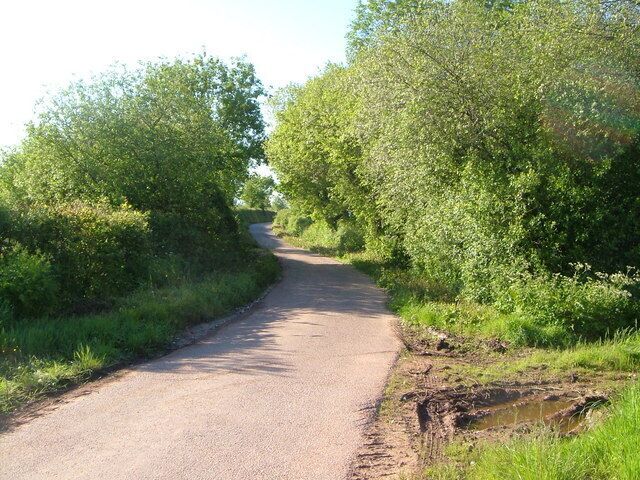 Near Summer Bridge. A lane passes the point where a sluggish stream crosses, heading westwards (right) and forming pools with willow thickets.