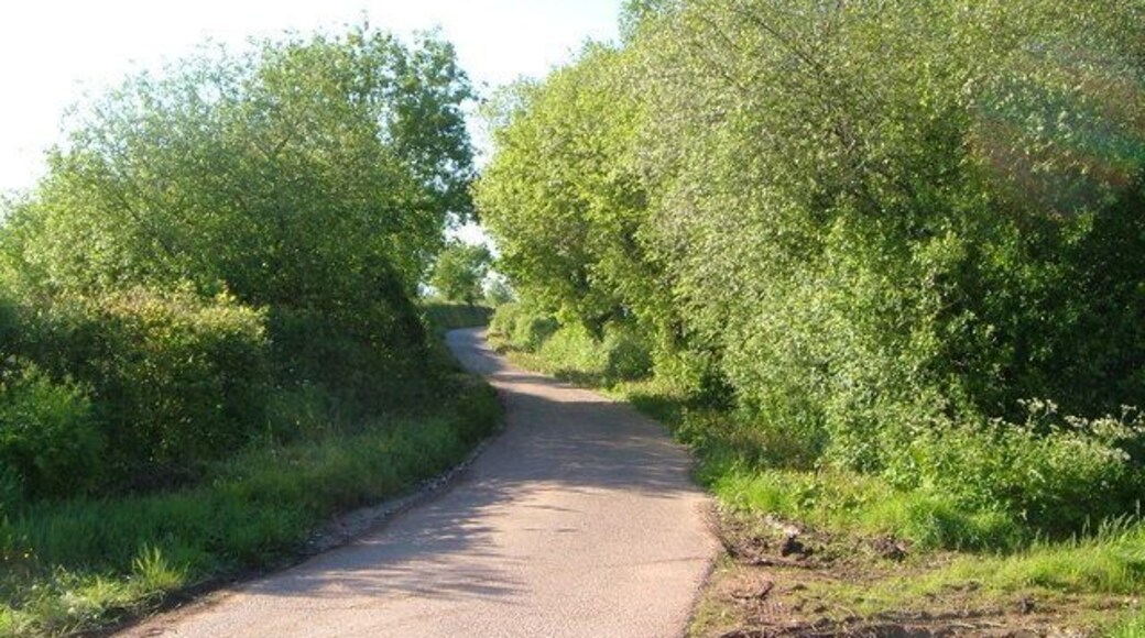 Near Summer Bridge. A lane passes the point where a sluggish stream crosses, heading westwards (right) and forming pools with willow thickets.