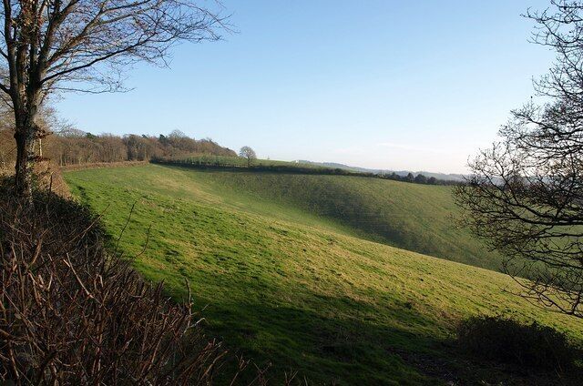 Field below Windy Cross. A wider view of the scene shown in 690596. On the left, the lane beyond Windy Cross towards Haldon Gate passes Hackaton Plantation.