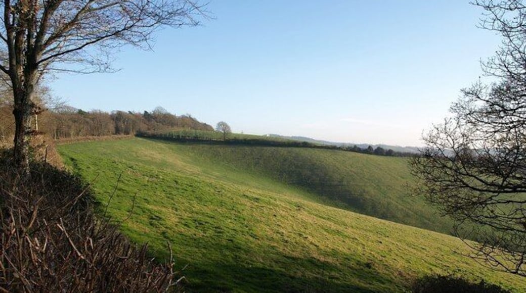 Field below Windy Cross. A wider view of the scene shown in 690596. On the left, the lane beyond Windy Cross towards Haldon Gate passes Hackaton Plantation.
