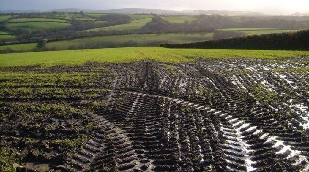 Tractor tyre marks and view A muddy field entrance off the lane between West Ford and Easton Cross. The view beyond the grid line extends across the River Yeo valley.