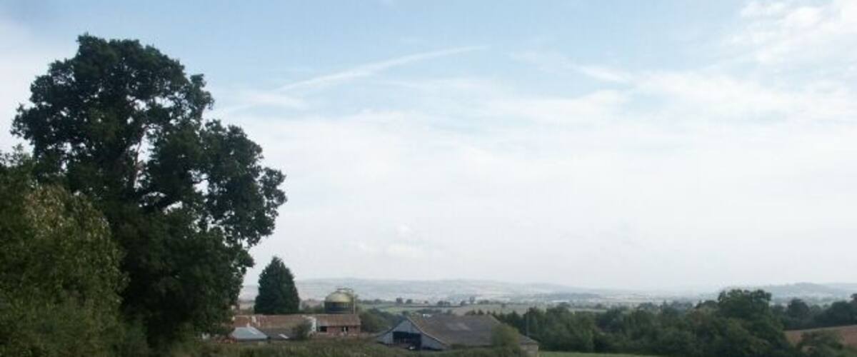 A grassy field with a large tree, a building with a dome, and a distant view of a town.