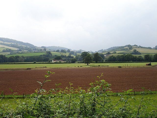 Copenhagen, Exe valley. View west across the course of the old railway (mid-foreground) to Copenhagen Farm, just south of Bickleigh from the A396.