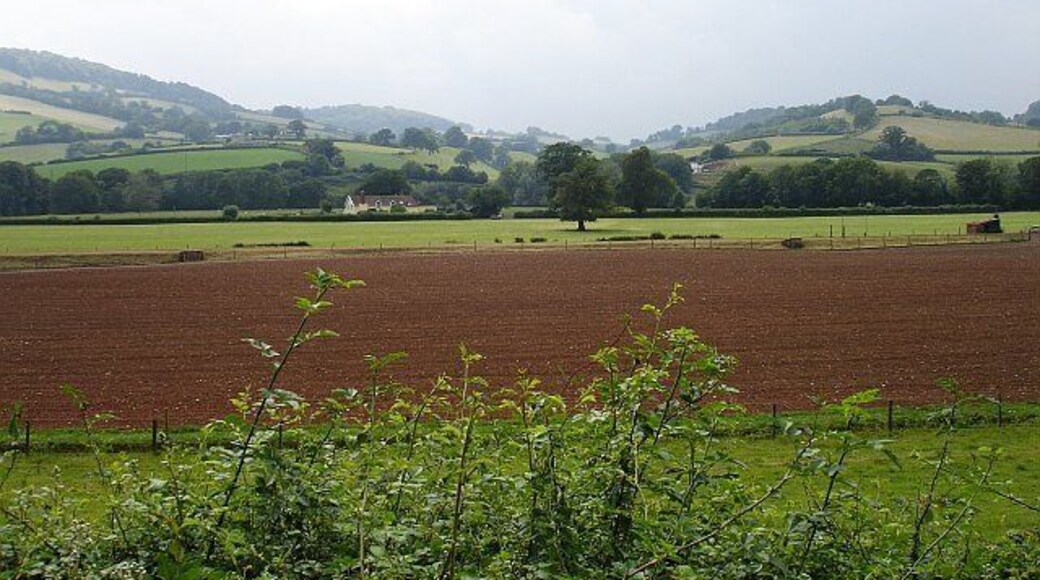 Copenhagen, Exe valley. View west across the course of the old railway (mid-foreground) to Copenhagen Farm, just south of Bickleigh from the A396.