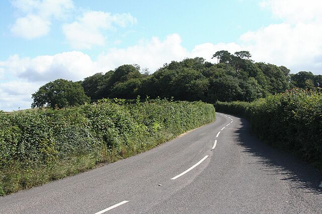 A winding rural road flanked by dense hedges and trees under a partly cloudy sky.