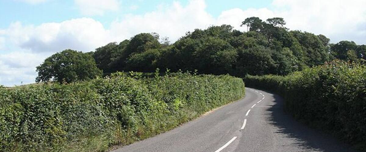 A winding rural road flanked by dense hedges and trees under a partly cloudy sky.