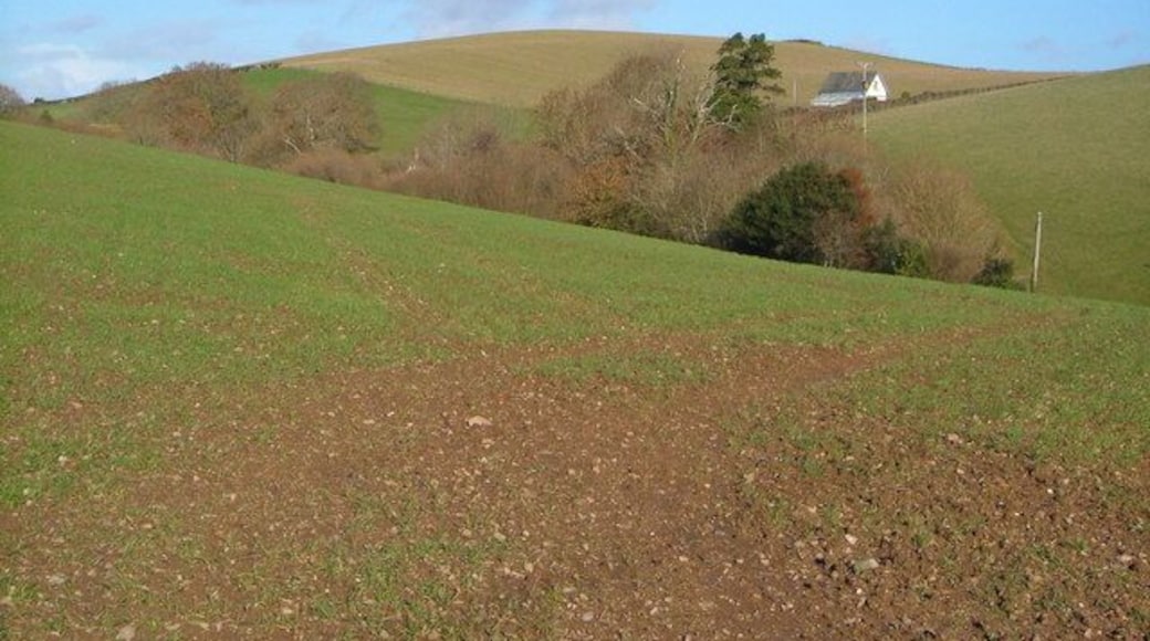 Honeyford. The farm is almost entirely hidden in this view from 290148.