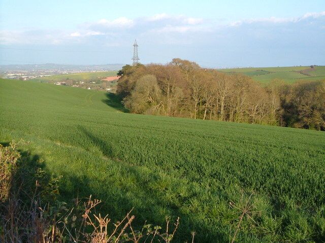 Seven Acre Plantation from Longdown Road. Good views from Longdown Road, the B3212, which runs along a ridge - this one looks ESE towards southern Exeter.