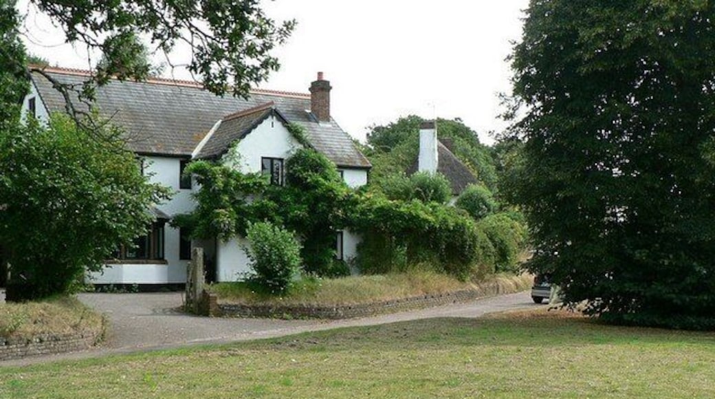 The green at Talaton