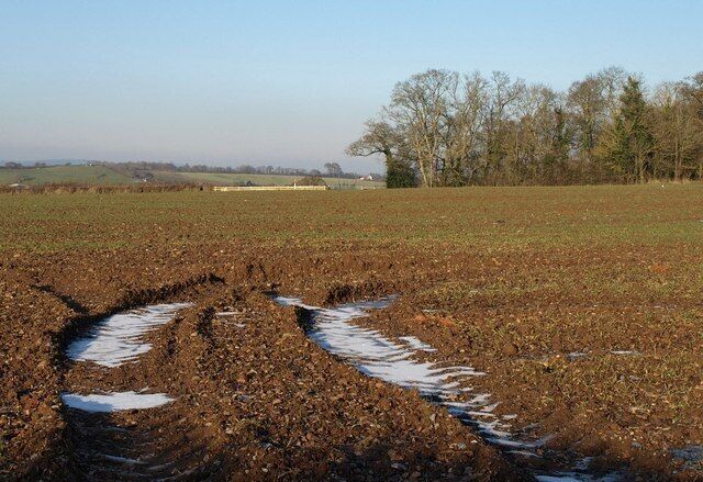 Field near Woodbury Salterton. Ice-filled ruts lead into this arable field, just sprouting new growth, from a lane junction near Cannonwalls shown in 85518. The small wood on the right is unnamed on the maps.
