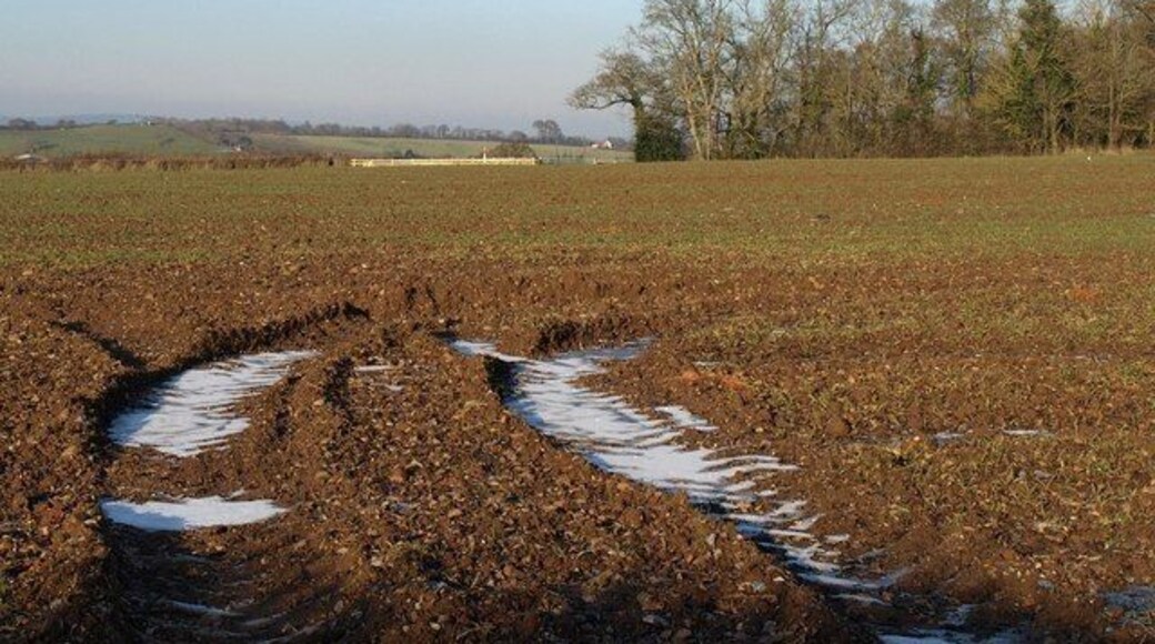 Field near Woodbury Salterton. Ice-filled ruts lead into this arable field, just sprouting new growth, from a lane junction near Cannonwalls shown in 85518. The small wood on the right is unnamed on the maps.