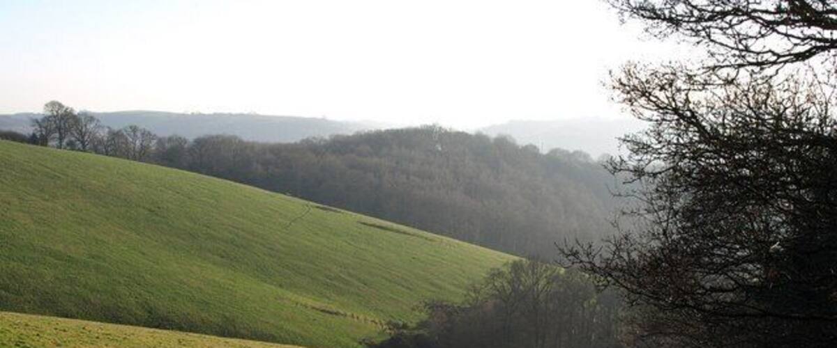 Head of the Batt's Brook valley The view down the edge of a wood from the lane west of Windy Cross. The steep field encloses a small projection of woodland in the dip which surrounds the source of Batt's Brook. The wood ahead is Willhayes Brake; the trees on the left mark the line of Doddiscombsleigh Bridleway 3.