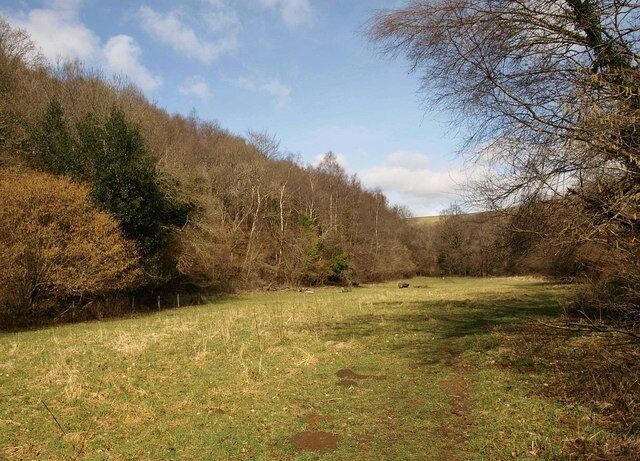 Meadow in the Teign valley In its deeply incised meandering course, the valley contains level areas of flood plain, and this tempting meadow has obviously been used for outdoor activities. To the left rises St Thomas Cleave Wood.