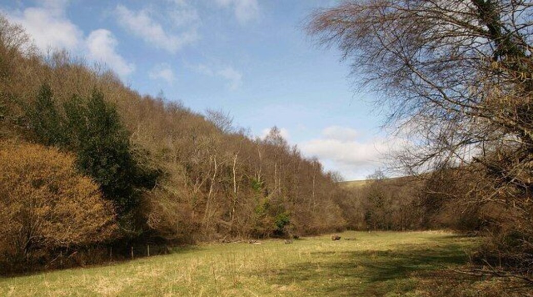 Meadow in the Teign valley In its deeply incised meandering course, the valley contains level areas of flood plain, and this tempting meadow has obviously been used for outdoor activities. To the left rises St Thomas Cleave Wood.