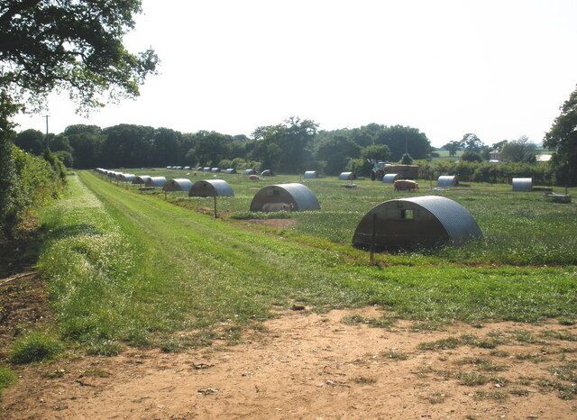 Pig farm, near Brampford Speke