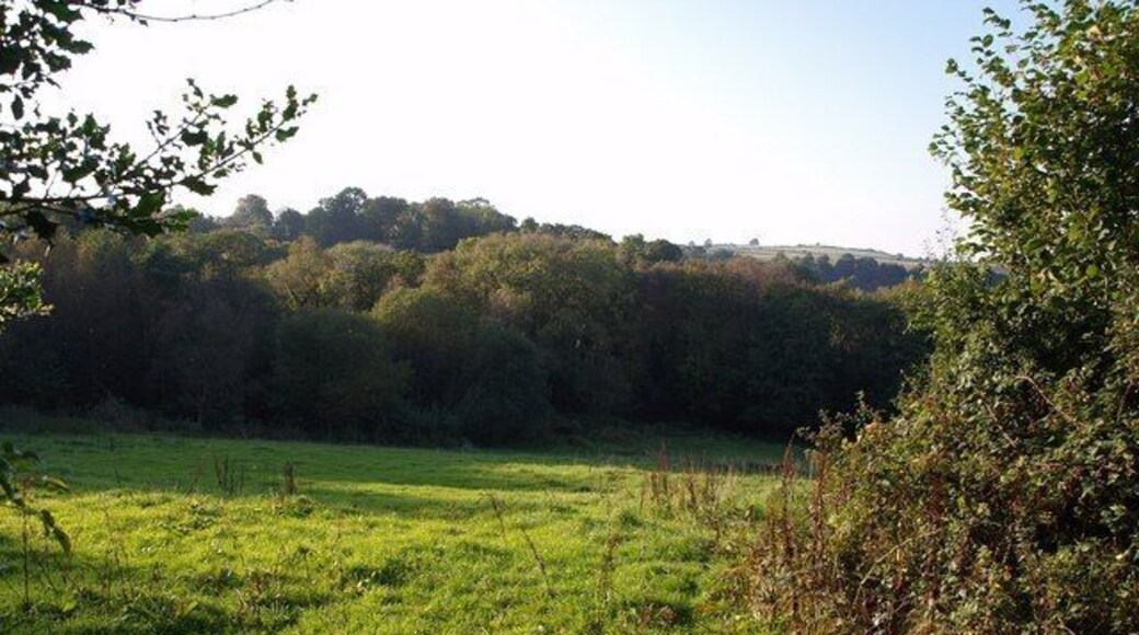 Field near Lower Hole. The view over the gate to the left referred to in 580852. Woodland seems to have encroached considerably into this field, which slopes to the small stream that runs between the three farms at Hole. The woodland beyond is around Little Tor.