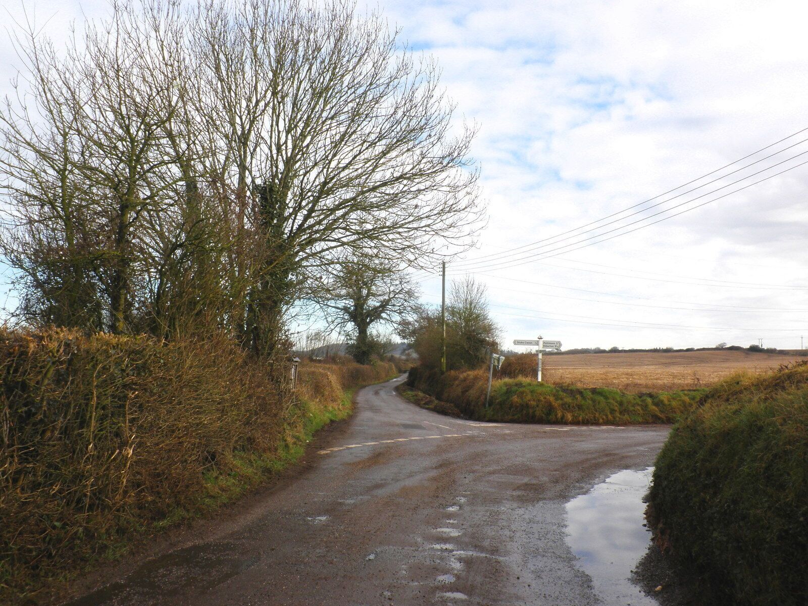A rural road with a directional signpost, surrounded by trees and fields.