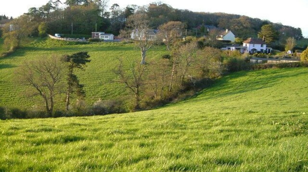 Vicarage Lane, Longdown from Perridge Cross. Near Longdown (of which these houses form a detached "suburb") the B3212 crosses a col between the Exe and Teign watersheds; the fields in the foreground drop west to the Teign.