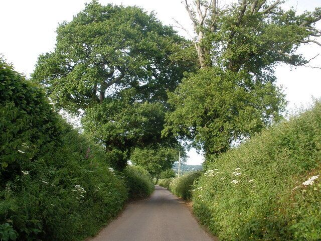 Minor road, from Ratsloe to Bowls Cross