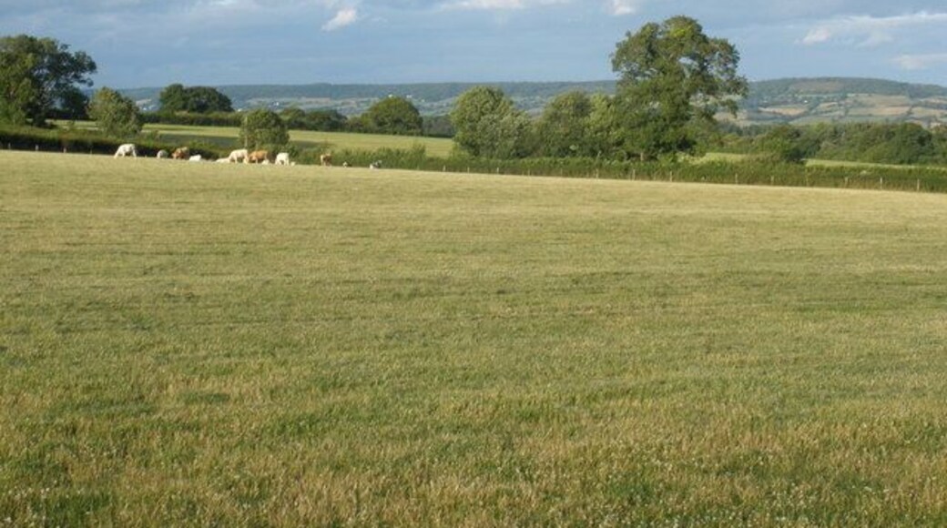 Field, near Mattocks Farm